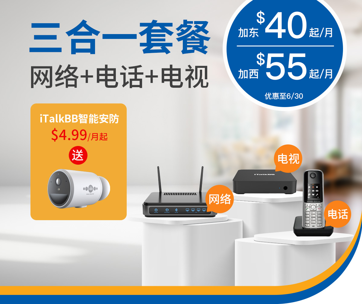 智能安防系統